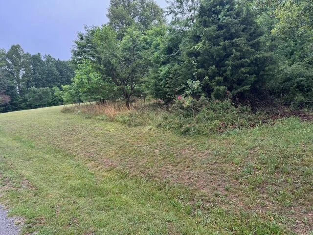 0 Fork Mountain RD