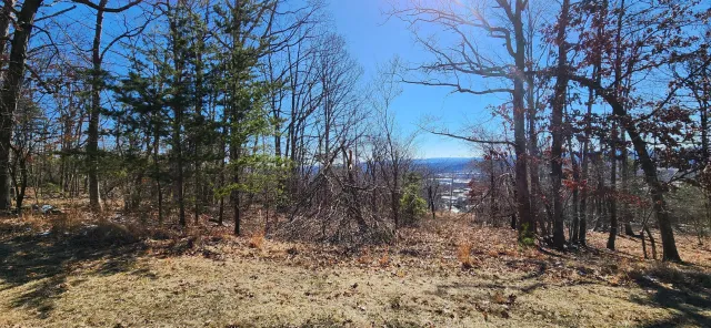 Lot 46 Summit DR, Rocky Mount, VA, 24151