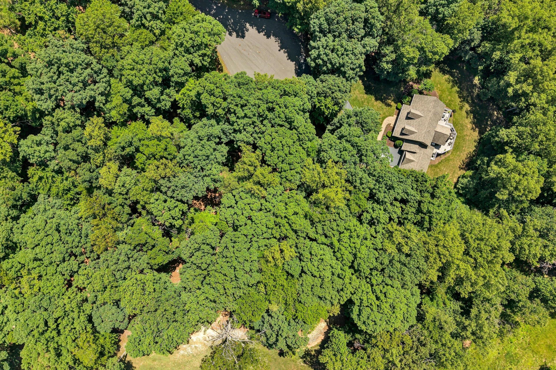 Lot 218A Hunterwood CIR - Photo 12