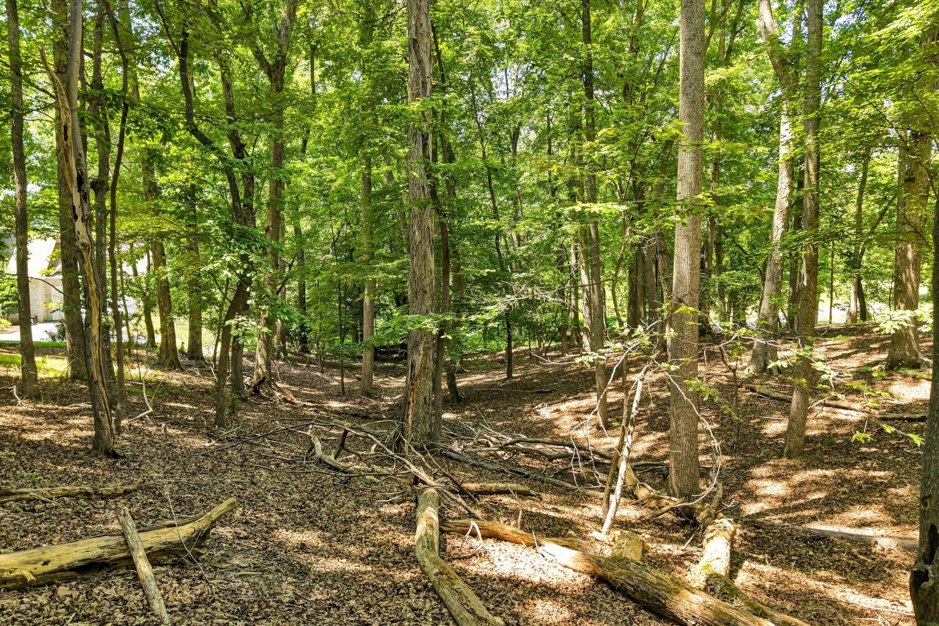 Lot 218A Hunterwood CIR - Photo 14
