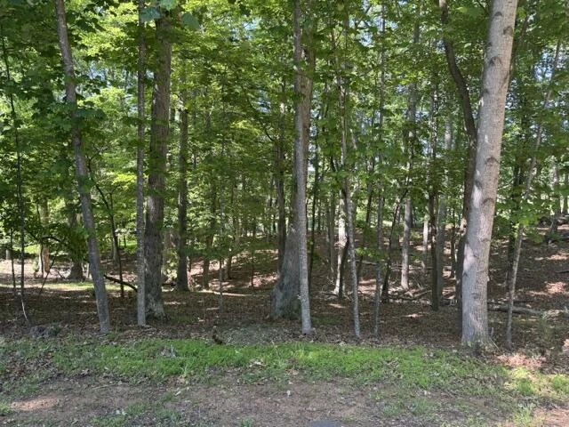 Lot 218A Hunterwood CIR - Photo 3