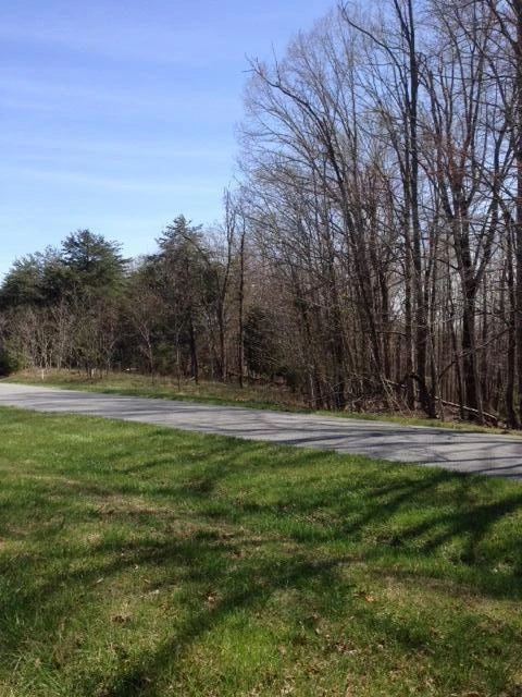 Lot 405 Mountain Shore DR - Photo 2