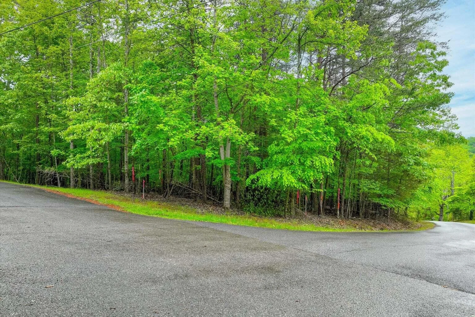 Lot 60 Old Barn RD - Photo 12