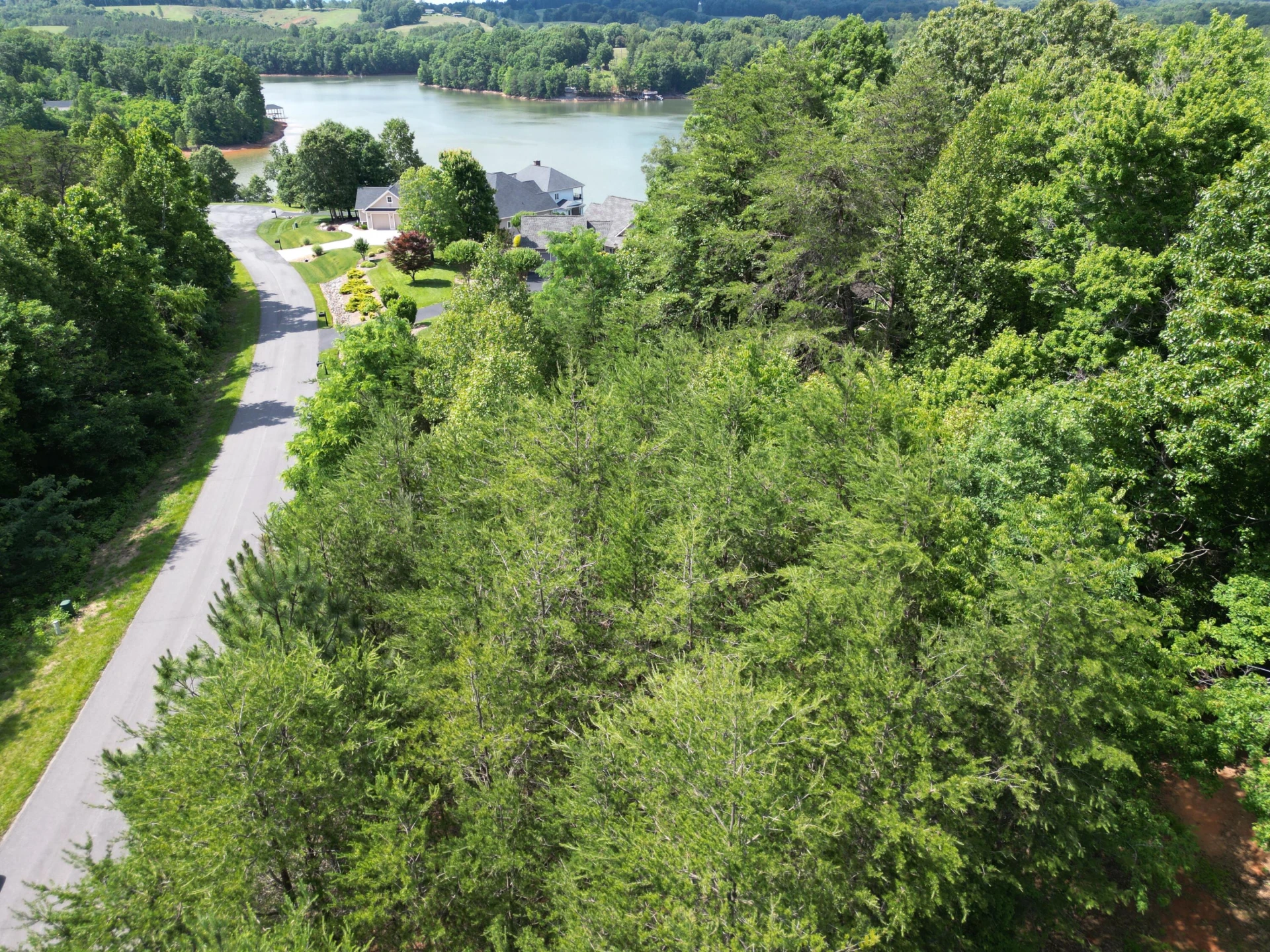 00 IVY LN - Photo 11
