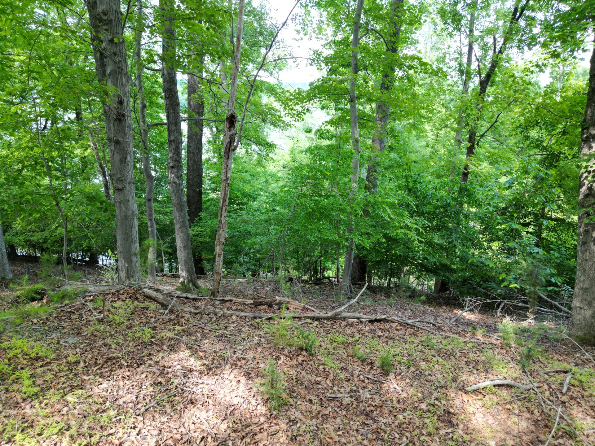 00 IVY LN - Photo 13