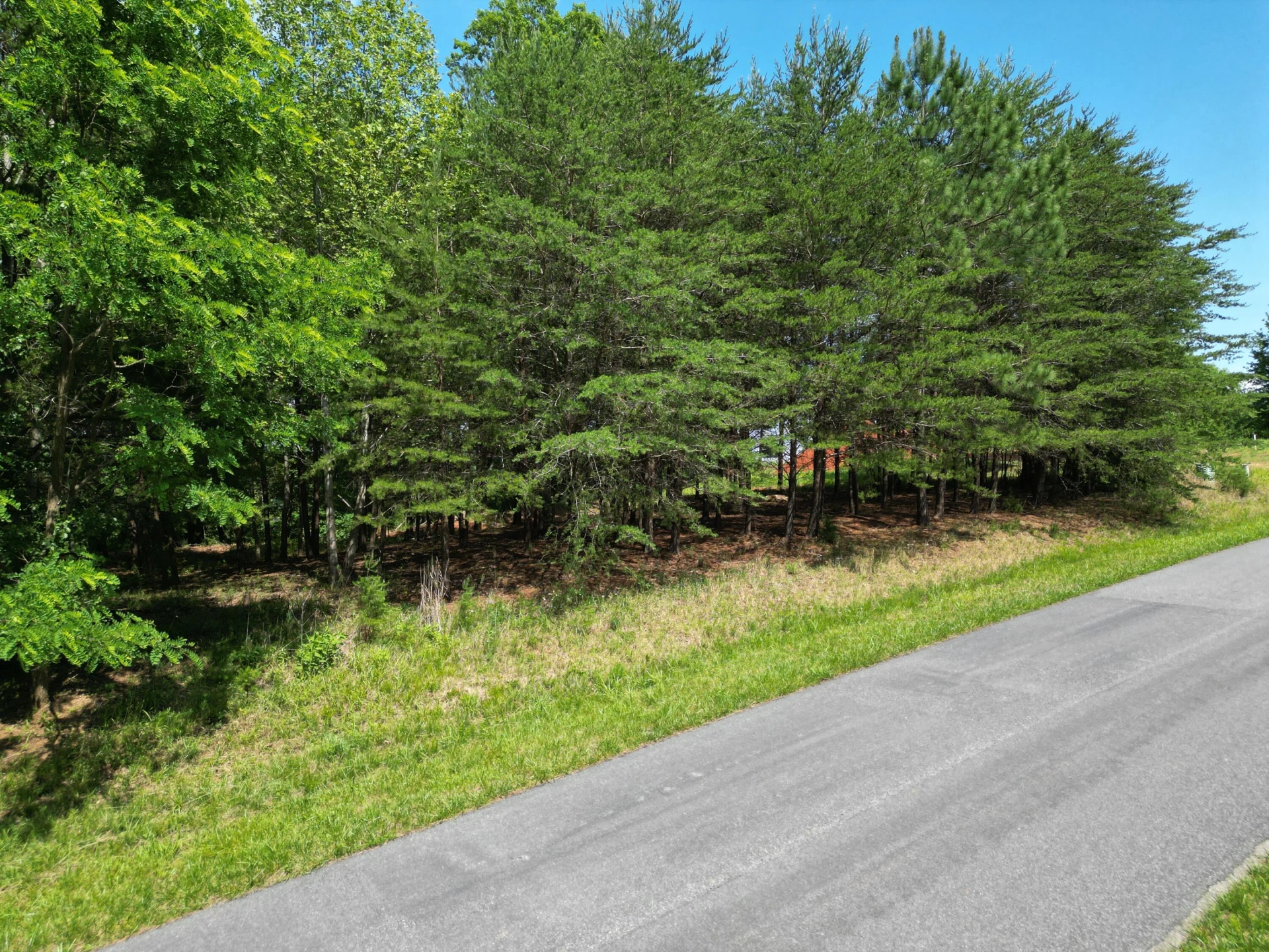 00 IVY LN - Photo 2