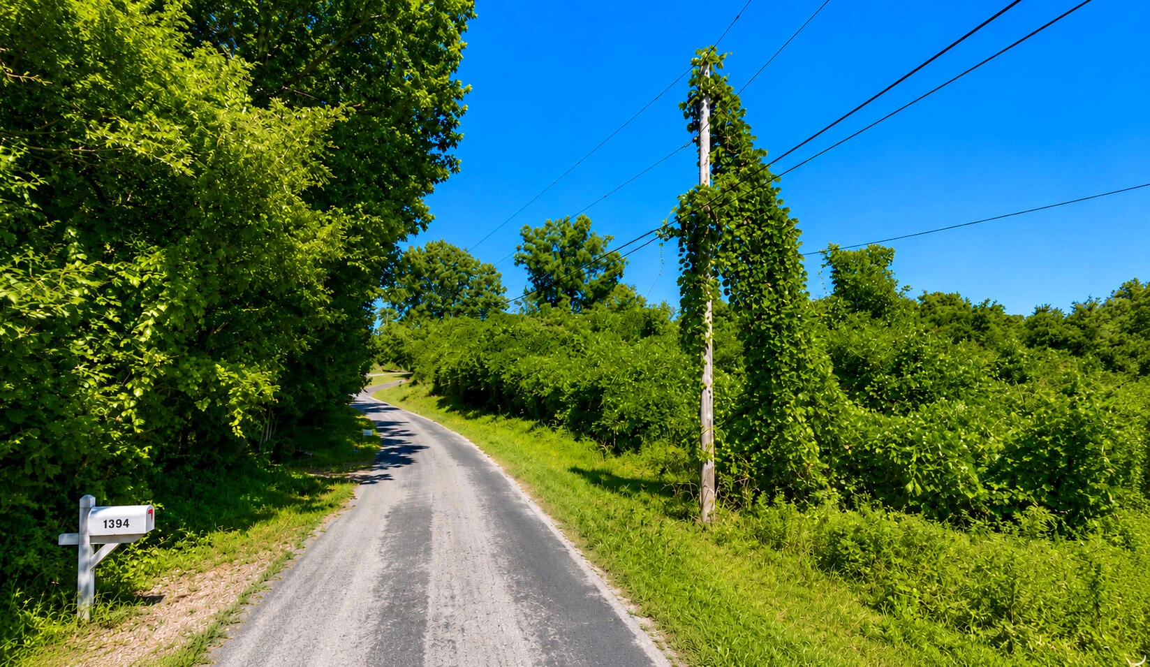 0 Dewey RD - Photo 6