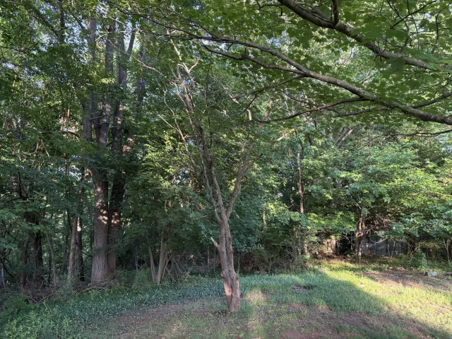 1130 Stephens (Lot) ST, Martinsville, VA, 24112