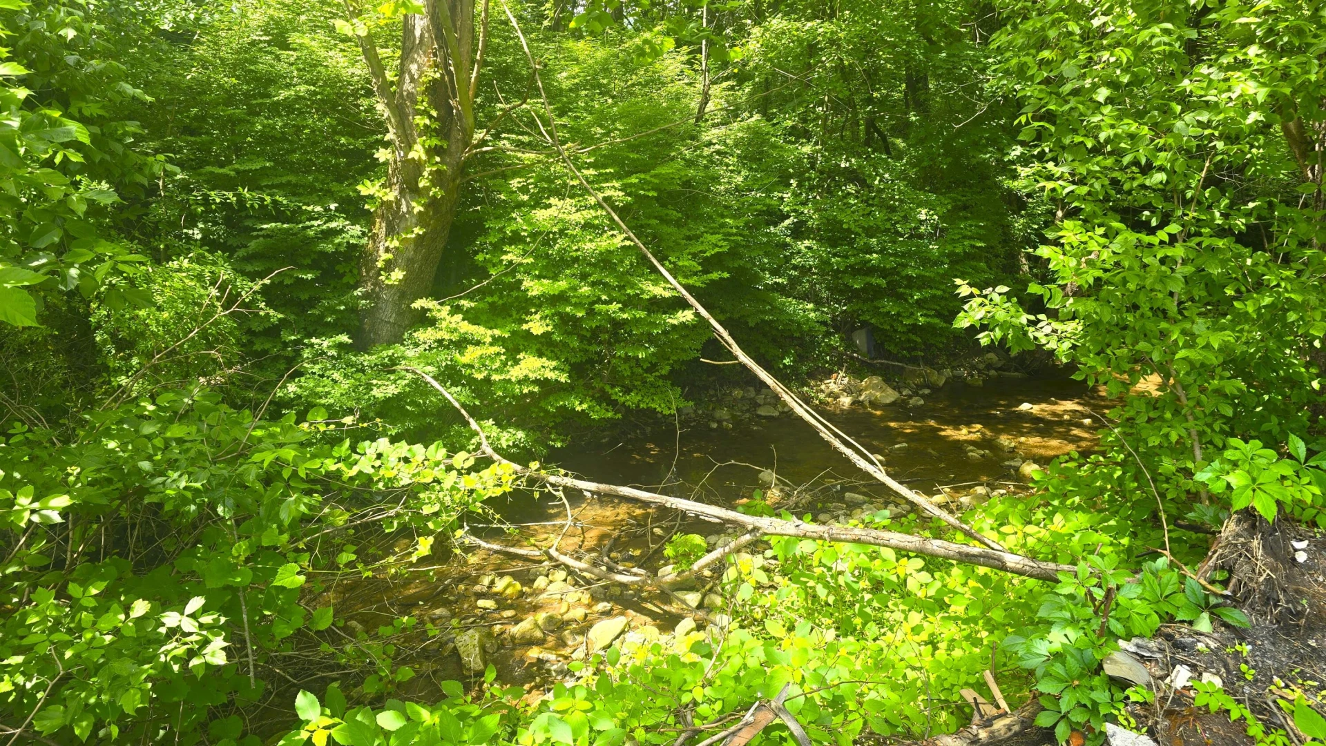 121 Brake RD - Photo 23