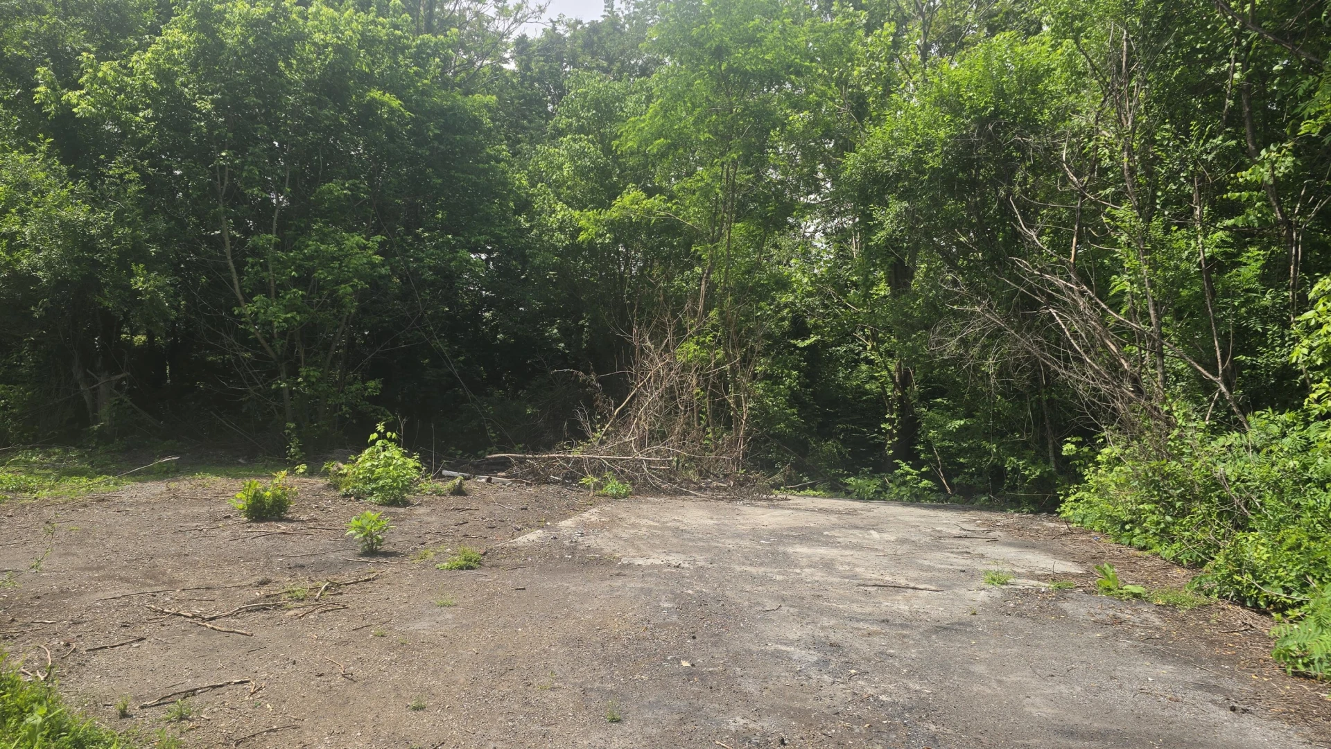 121 Brake RD - Photo 24