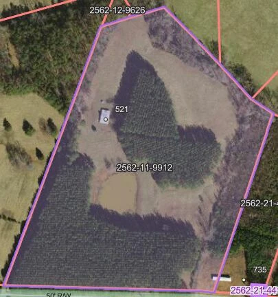 521 Piney Grove RD - Photo 12