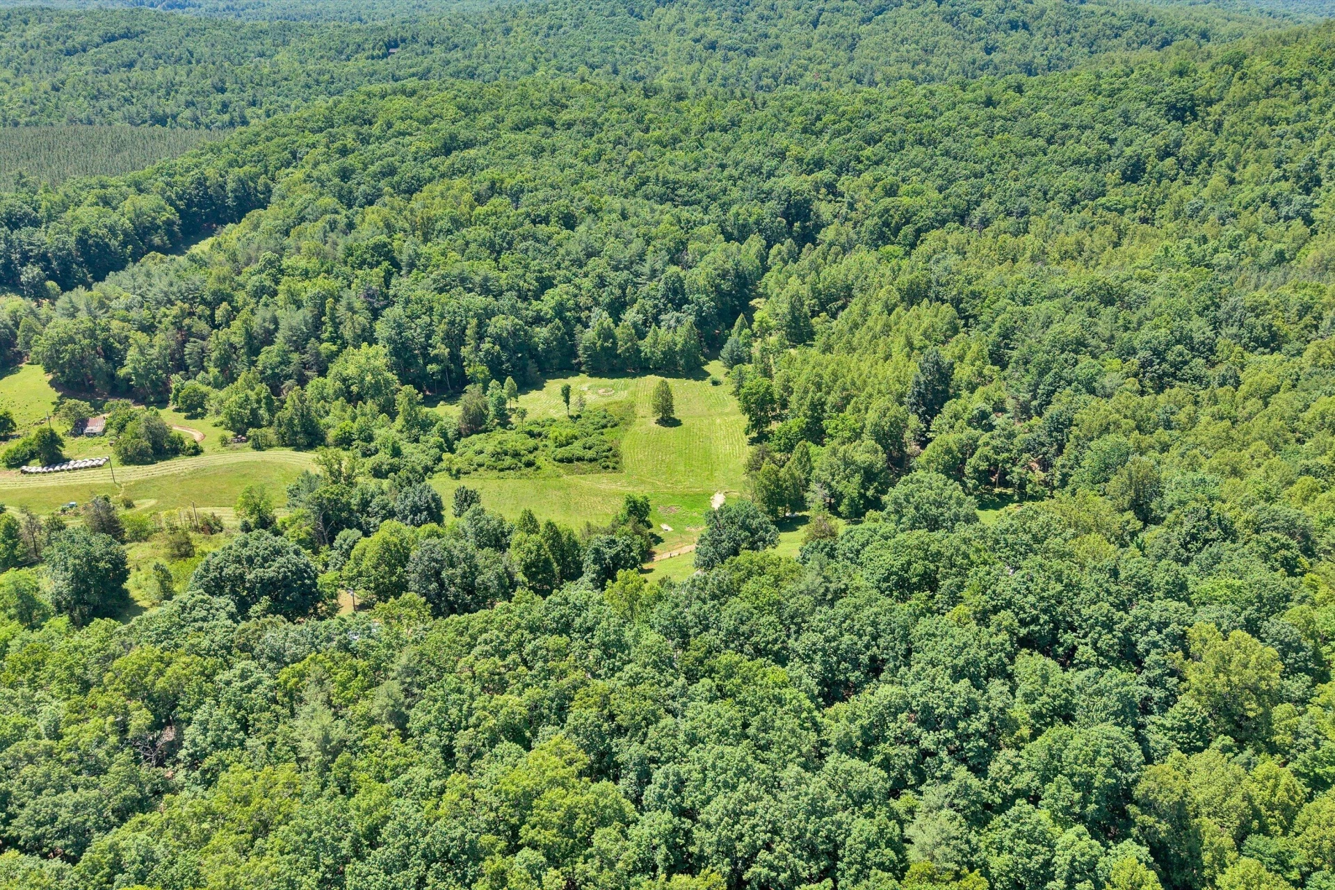 517 Elmer LN - Photo 46