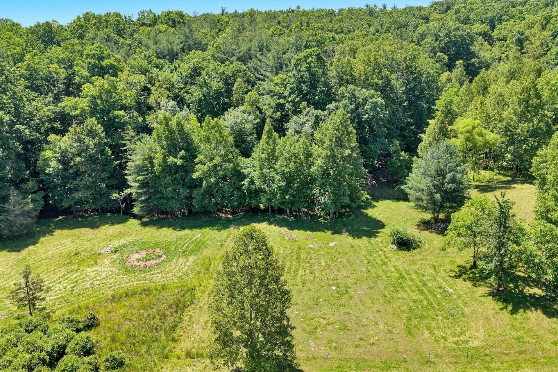 517 Elmer LN - Photo 49