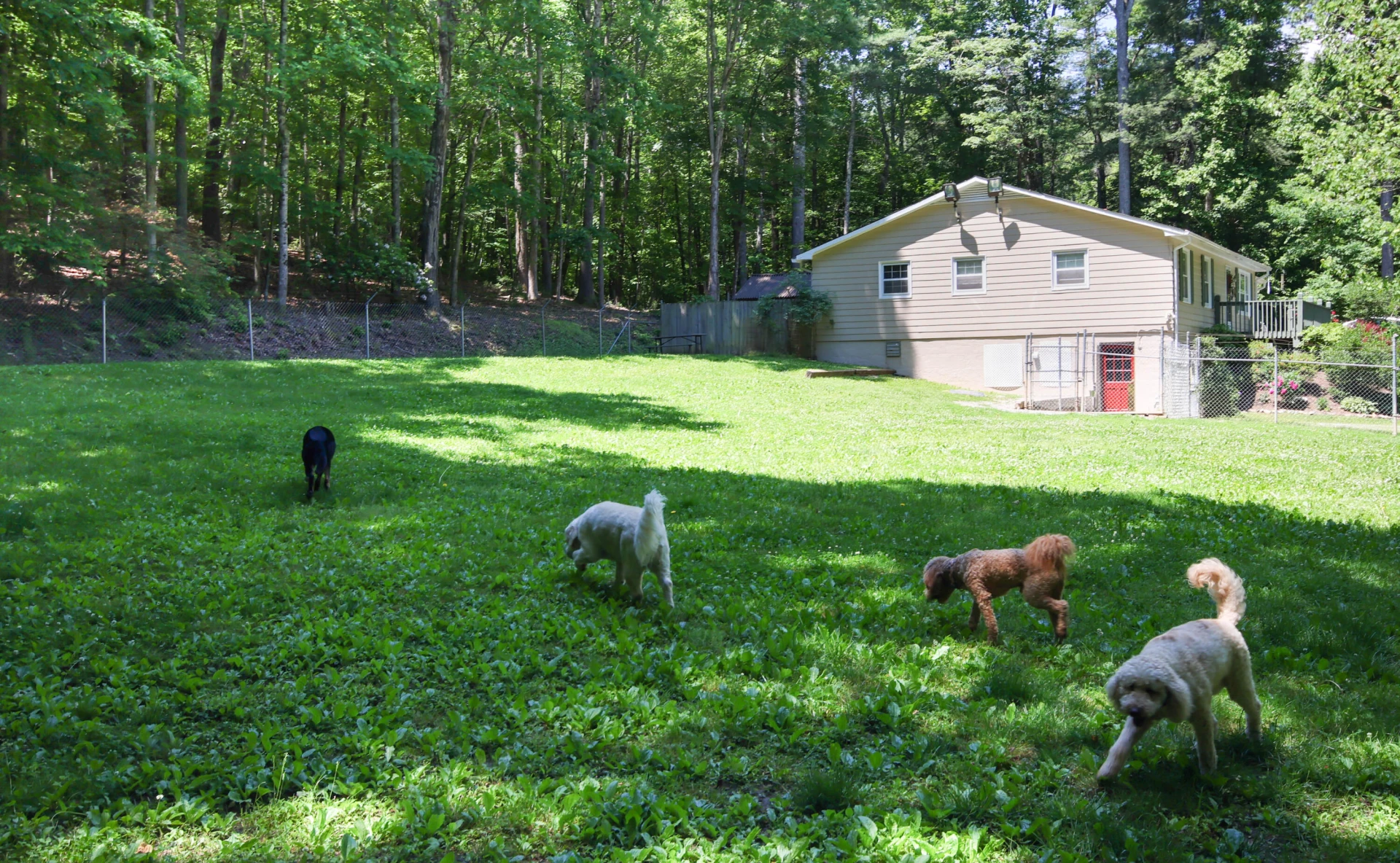 8465 Starlight LN - Photo 28