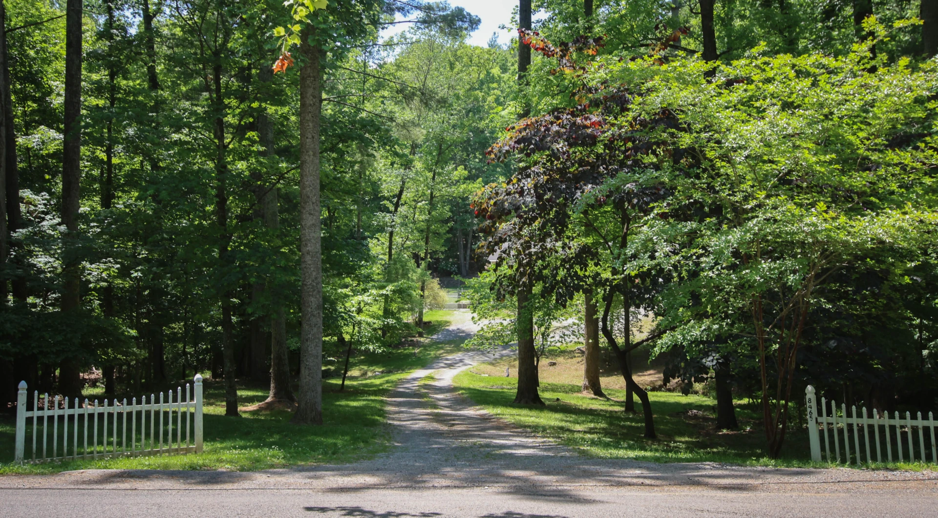 8465 Starlight LN - Photo 44