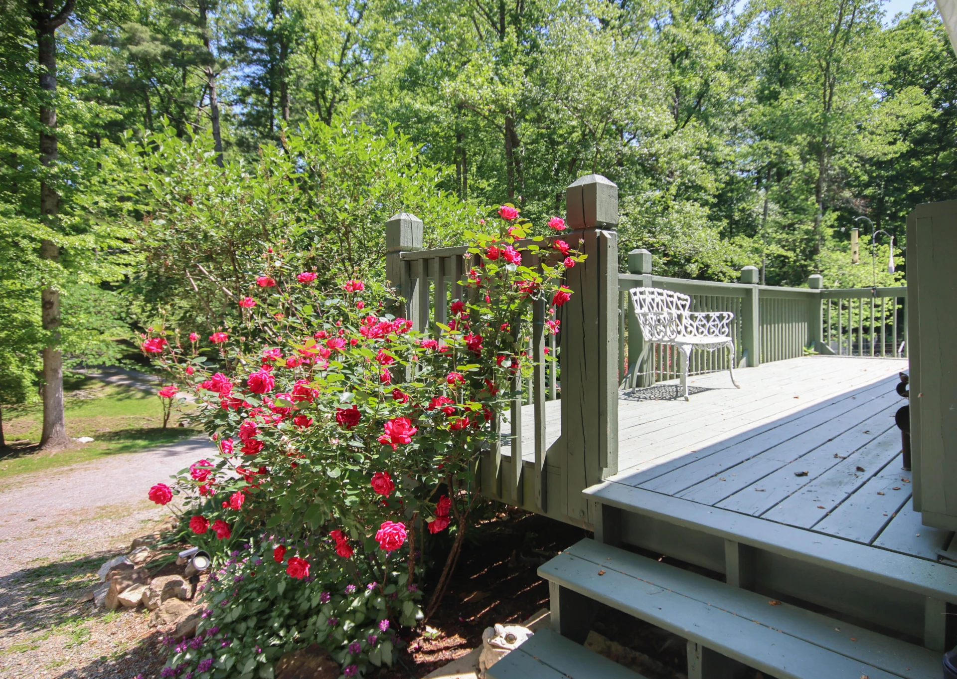 8465 Starlight LN - Photo 40