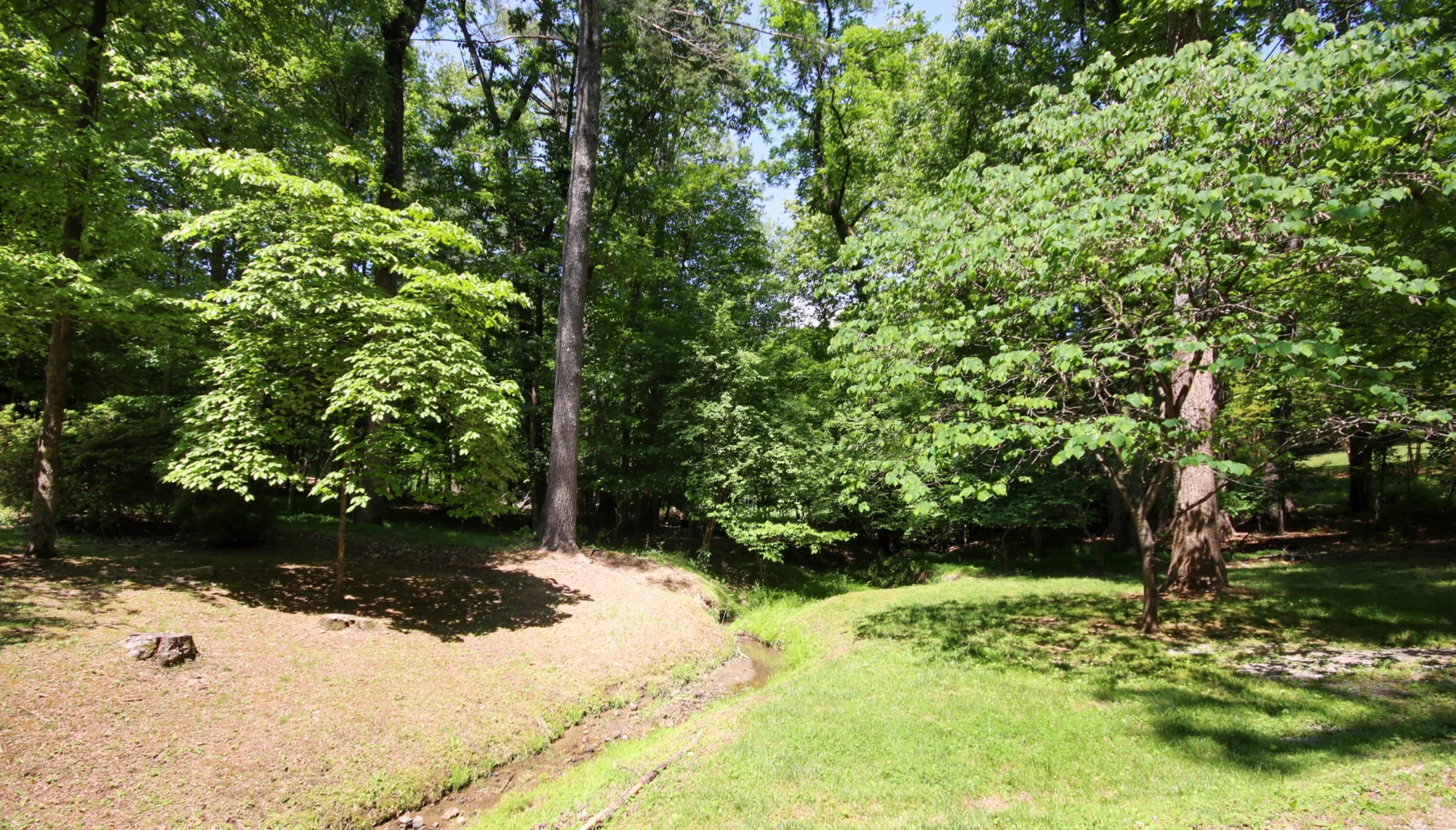 8465 Starlight LN - Photo 44