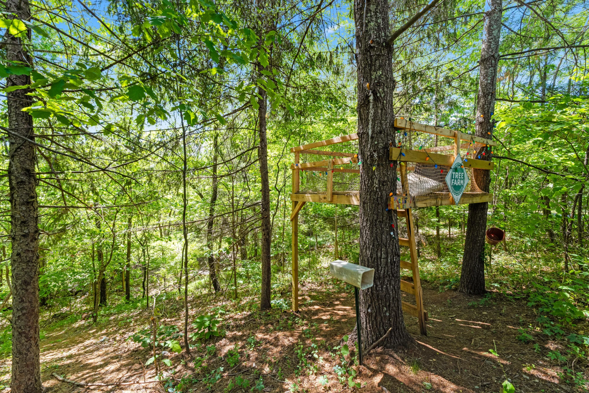 1324 Founding Way RD - Photo 50