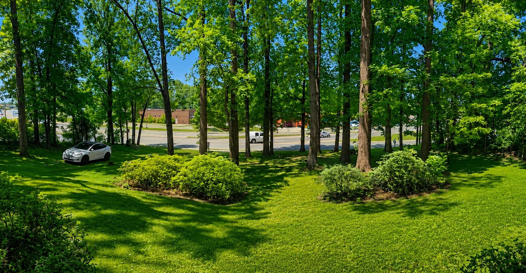 1009 Hardy RD - Photo 46