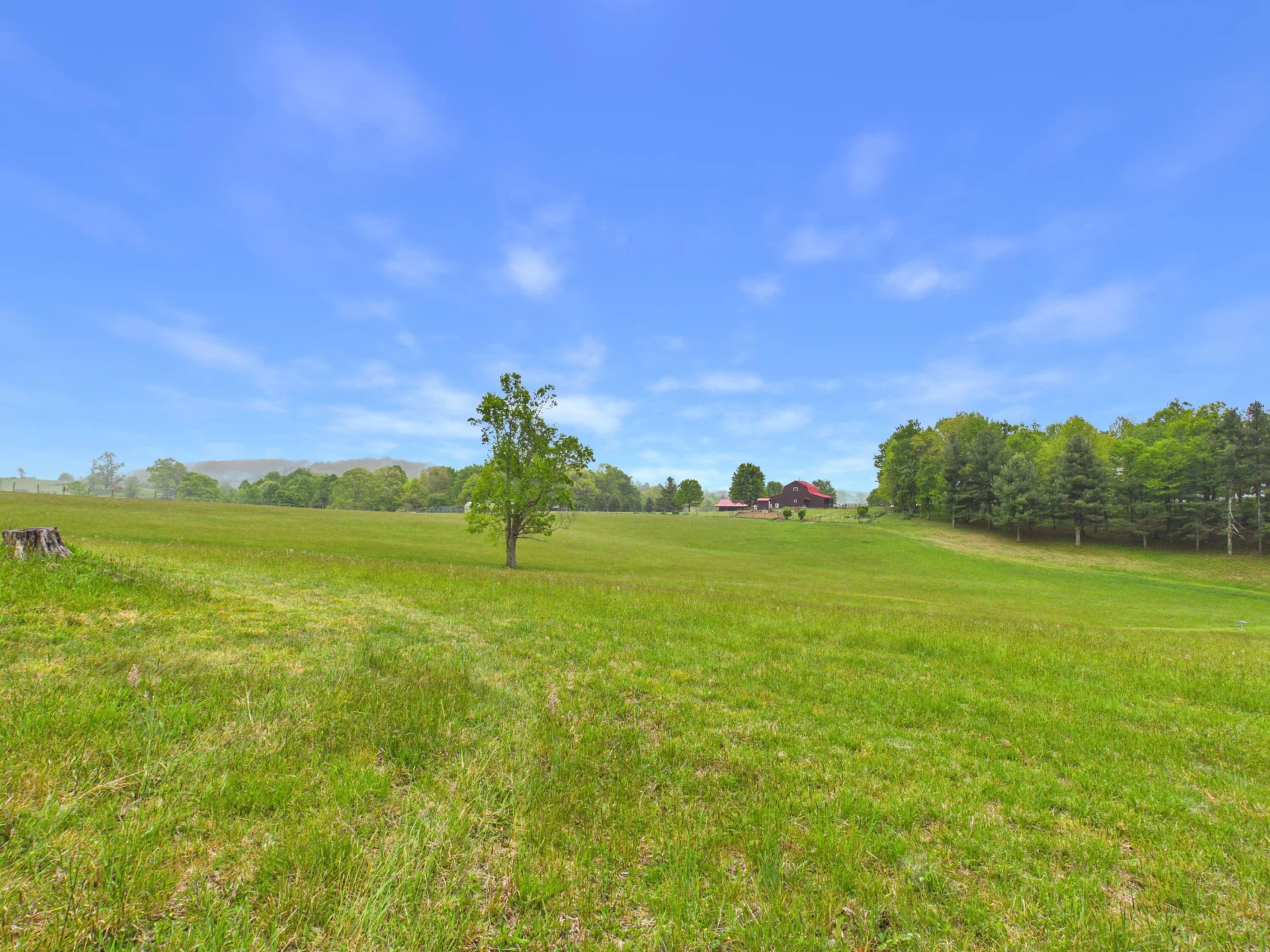 5821 Buffalo Mountain RD SW - Photo 69