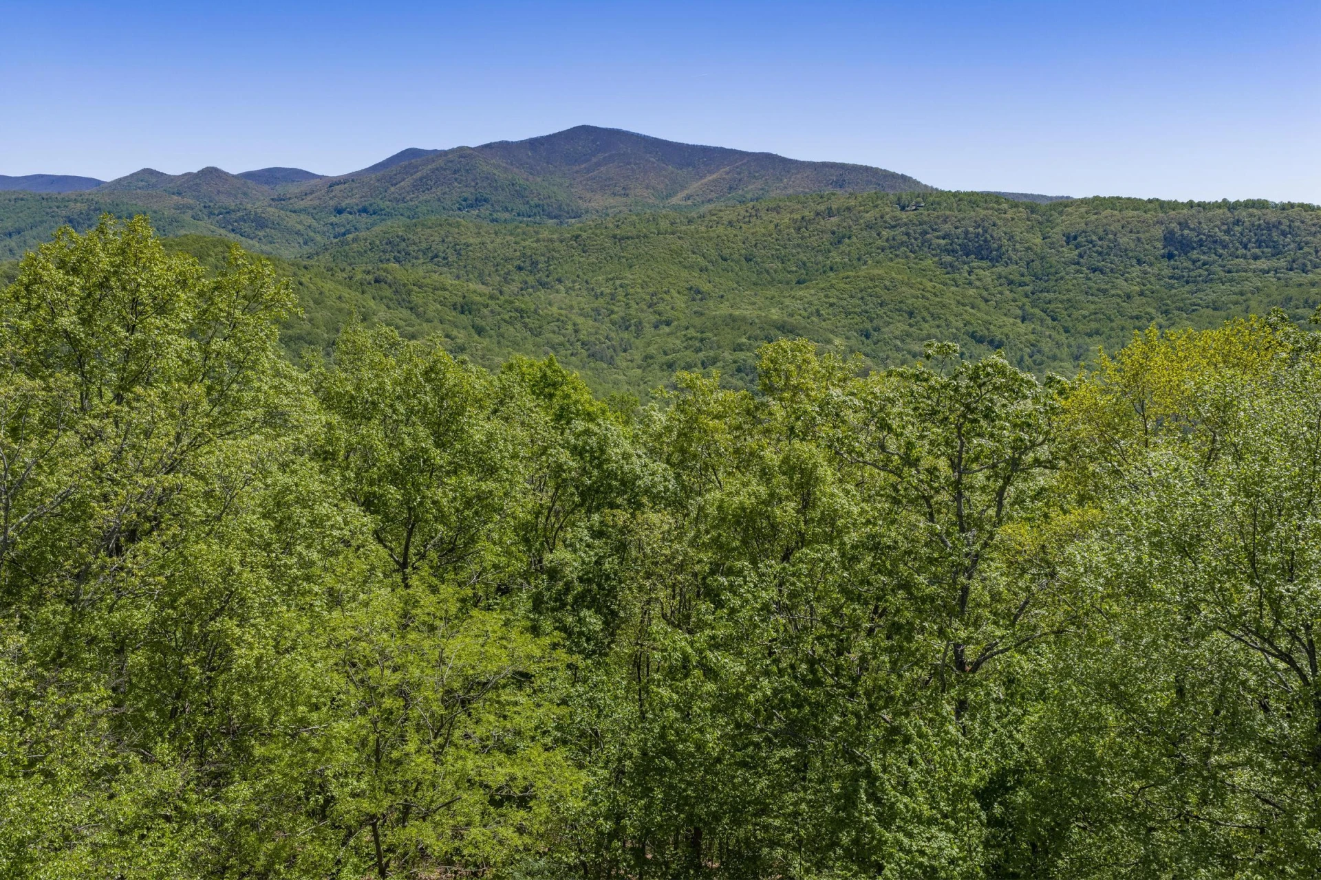 151 Stoneybrook RD - Photo 5