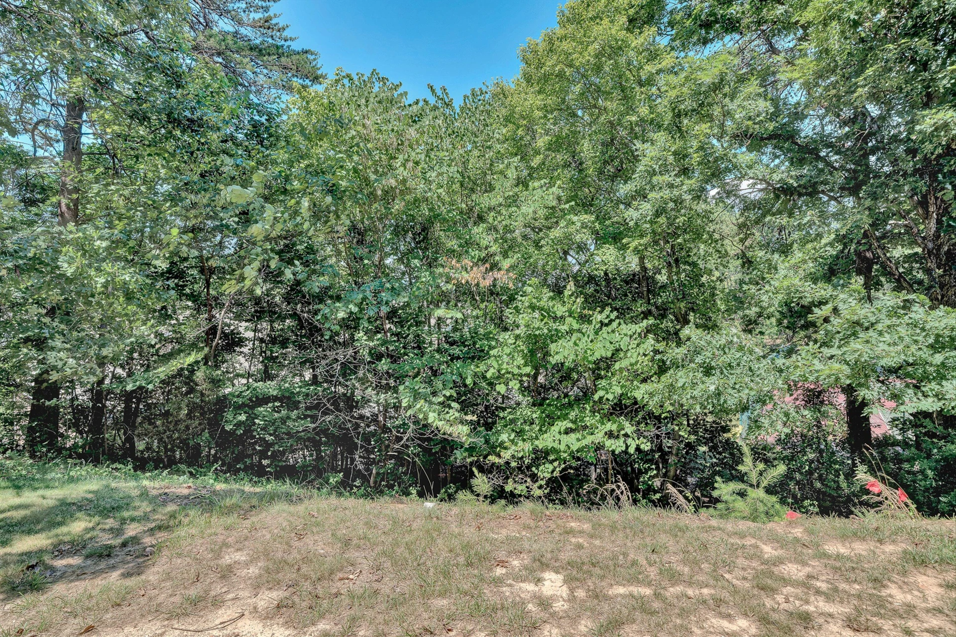 6912 Buck Crossing DR - Photo 35