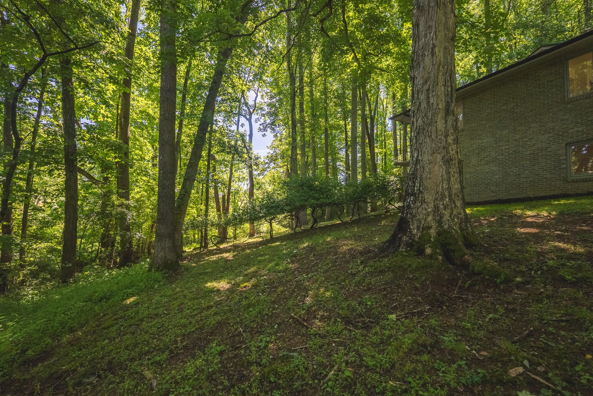 1200 Lakewood DR - Photo 72