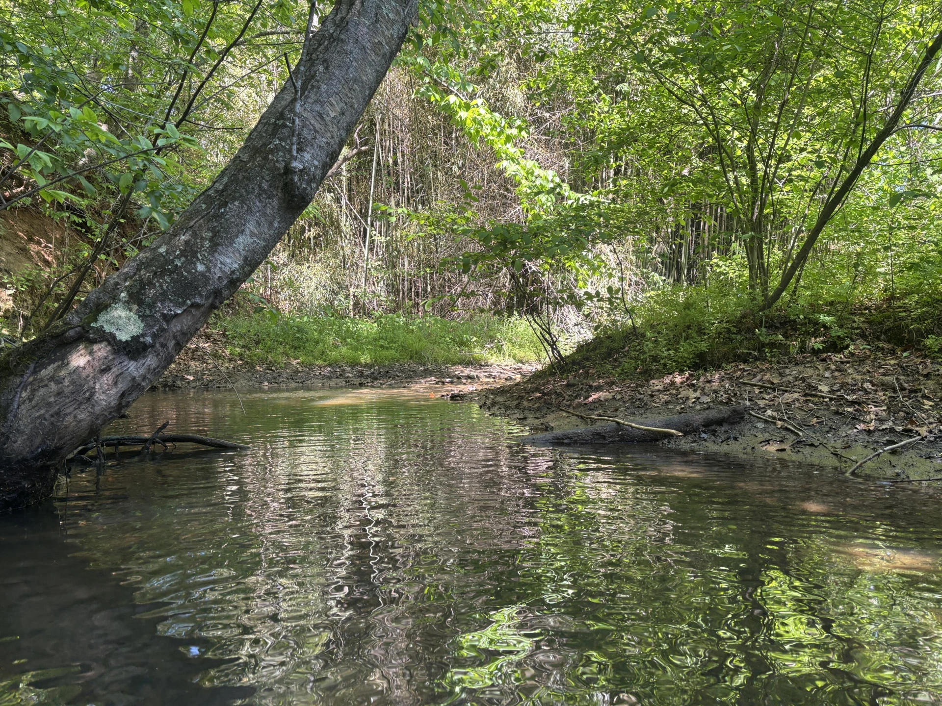 1115 Robin Ridge RD - Photo 42