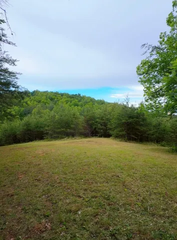 0 Bear LN, Ferrum, VA, 24088