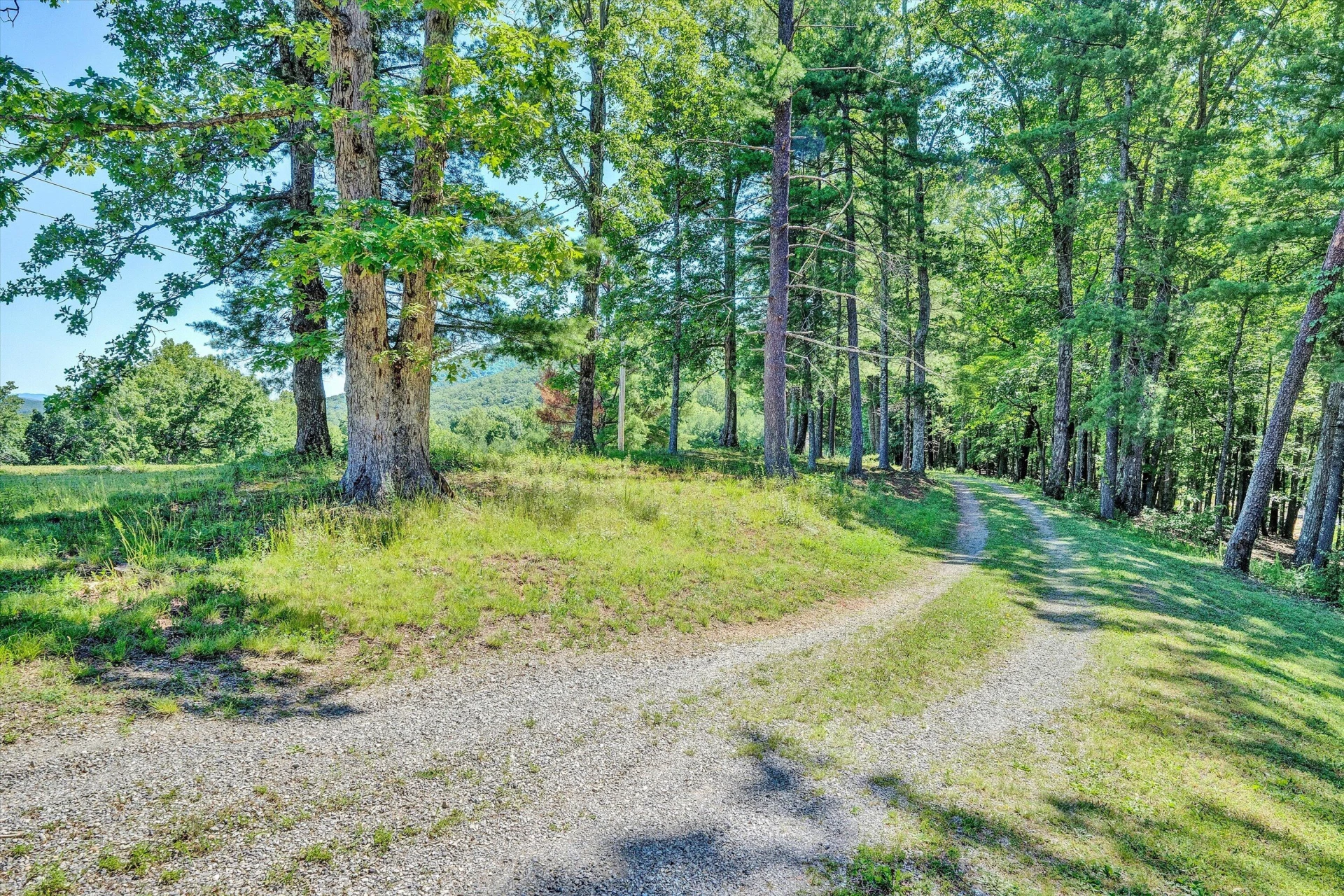 99 Raglin Branch LN - Photo 35