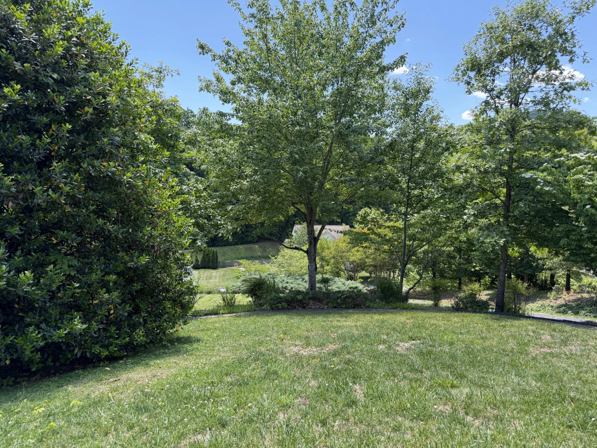 1308 Coronado DR - Photo 30