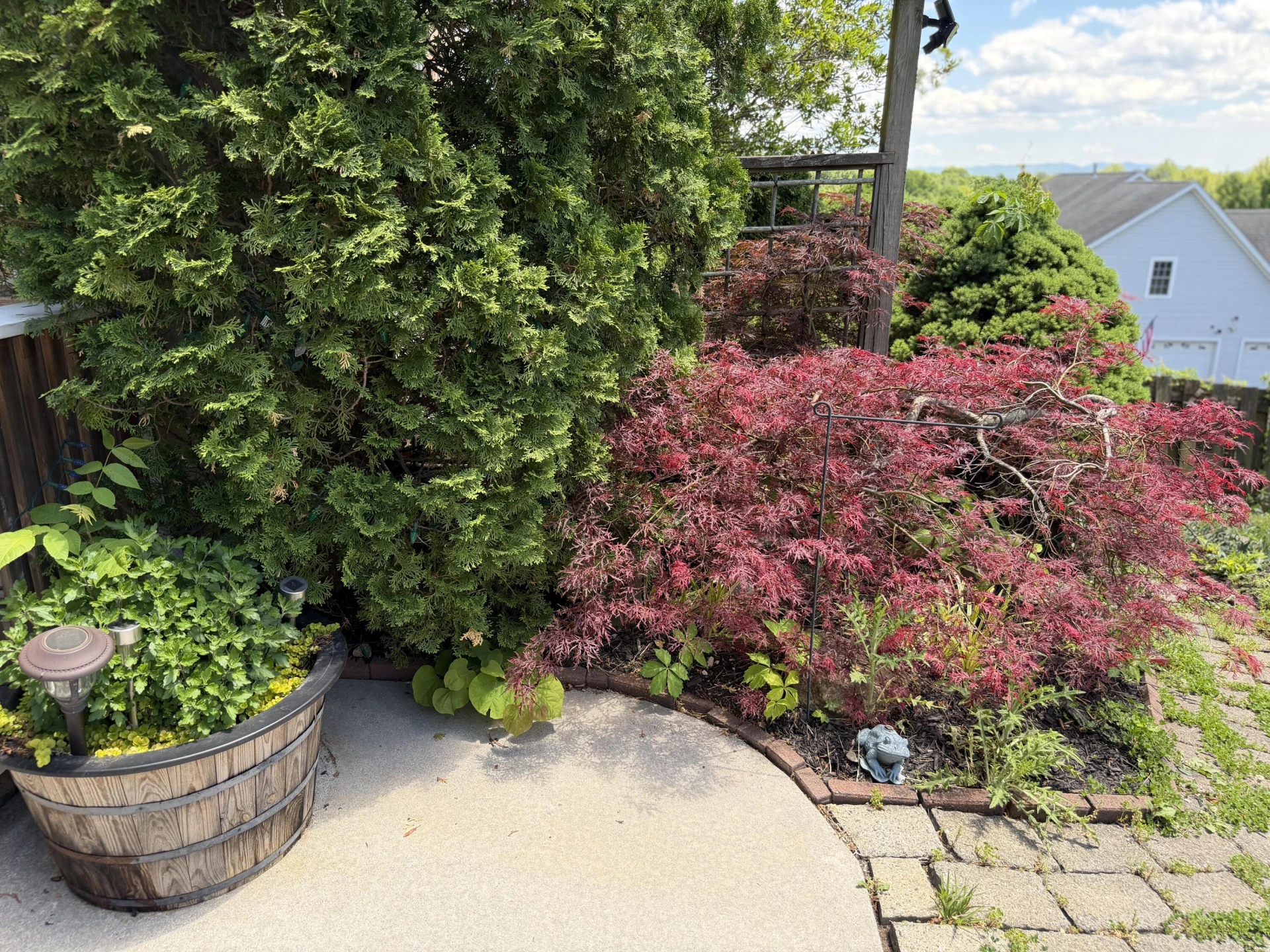 1308 Coronado DR - Photo 31