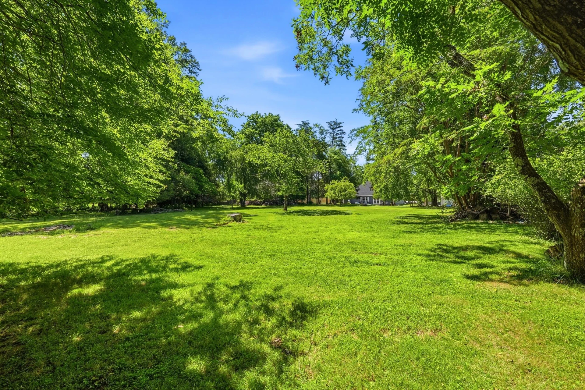 1107 Boonsboro PL - Photo 85