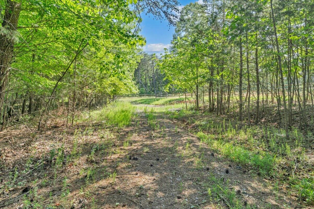 981 Bremble DR - Photo 19