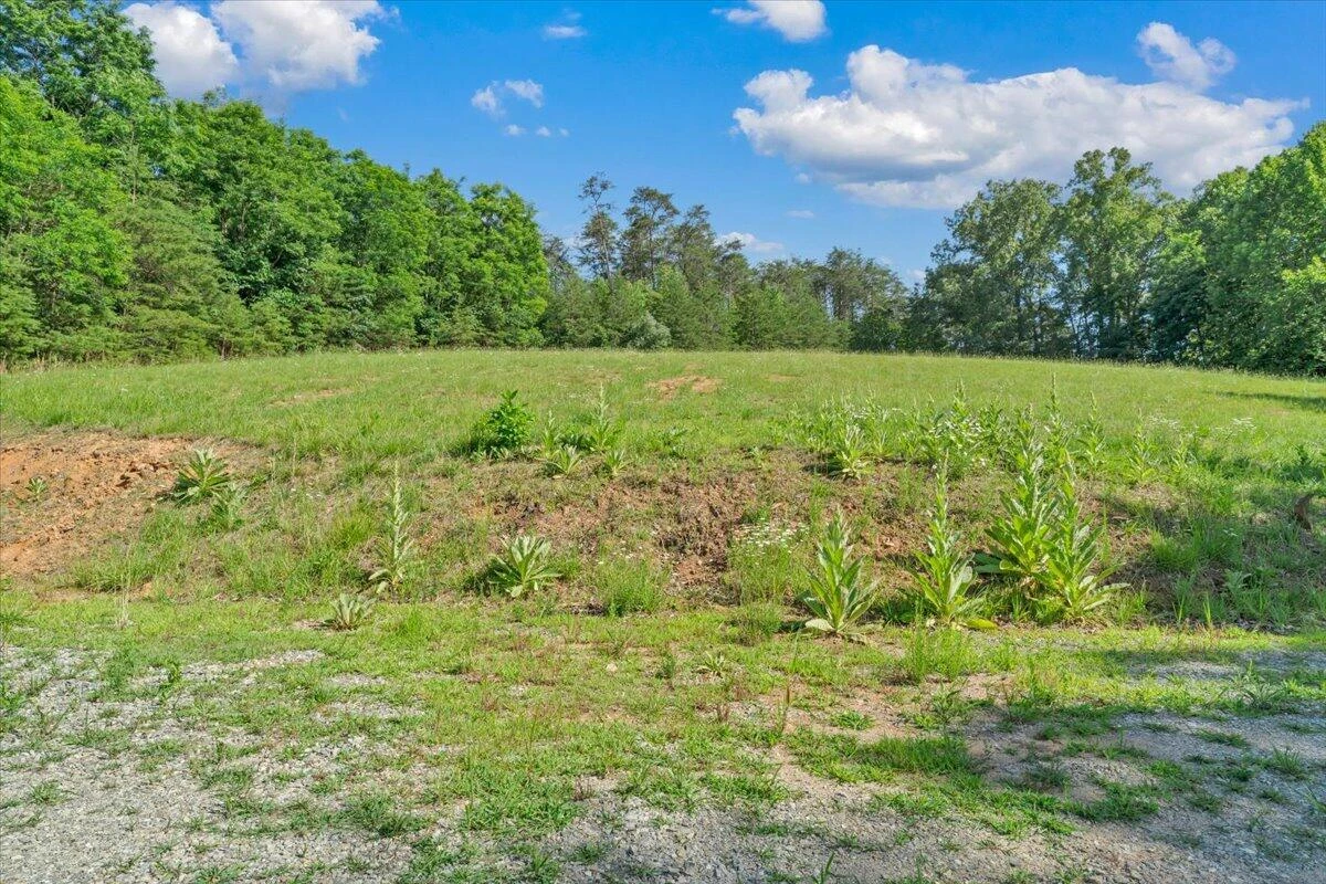 981 Bremble DR - Photo 22
