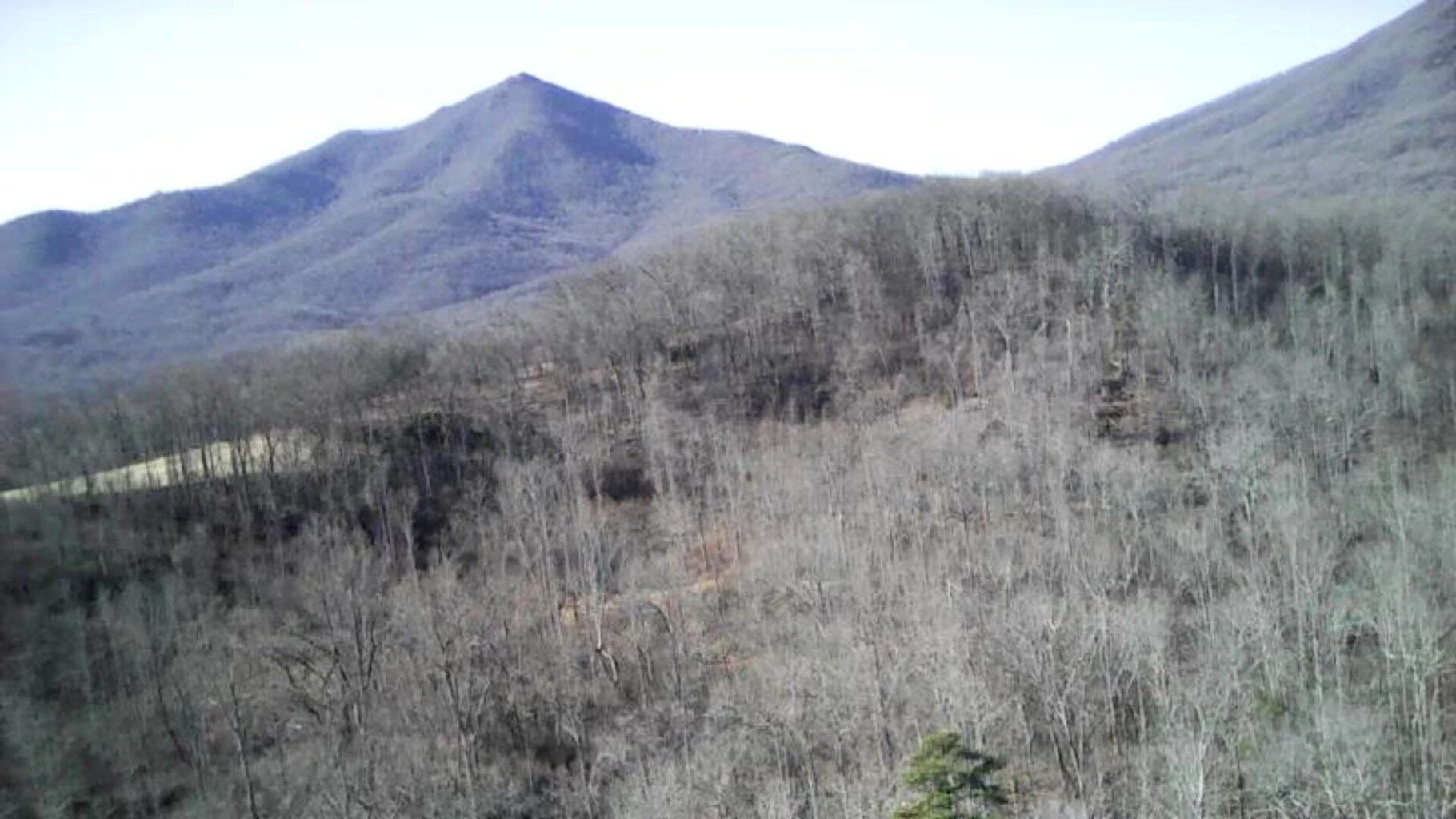 Lot 3 Meadors Mill RD - Photo 2