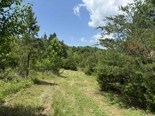 34941 U.S. 29 - Photo 5