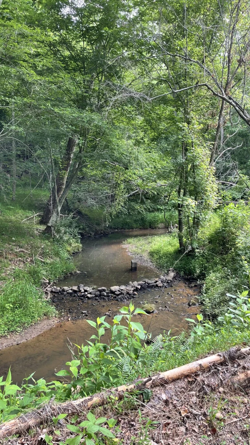 6200 Goodview RD - Photo 3