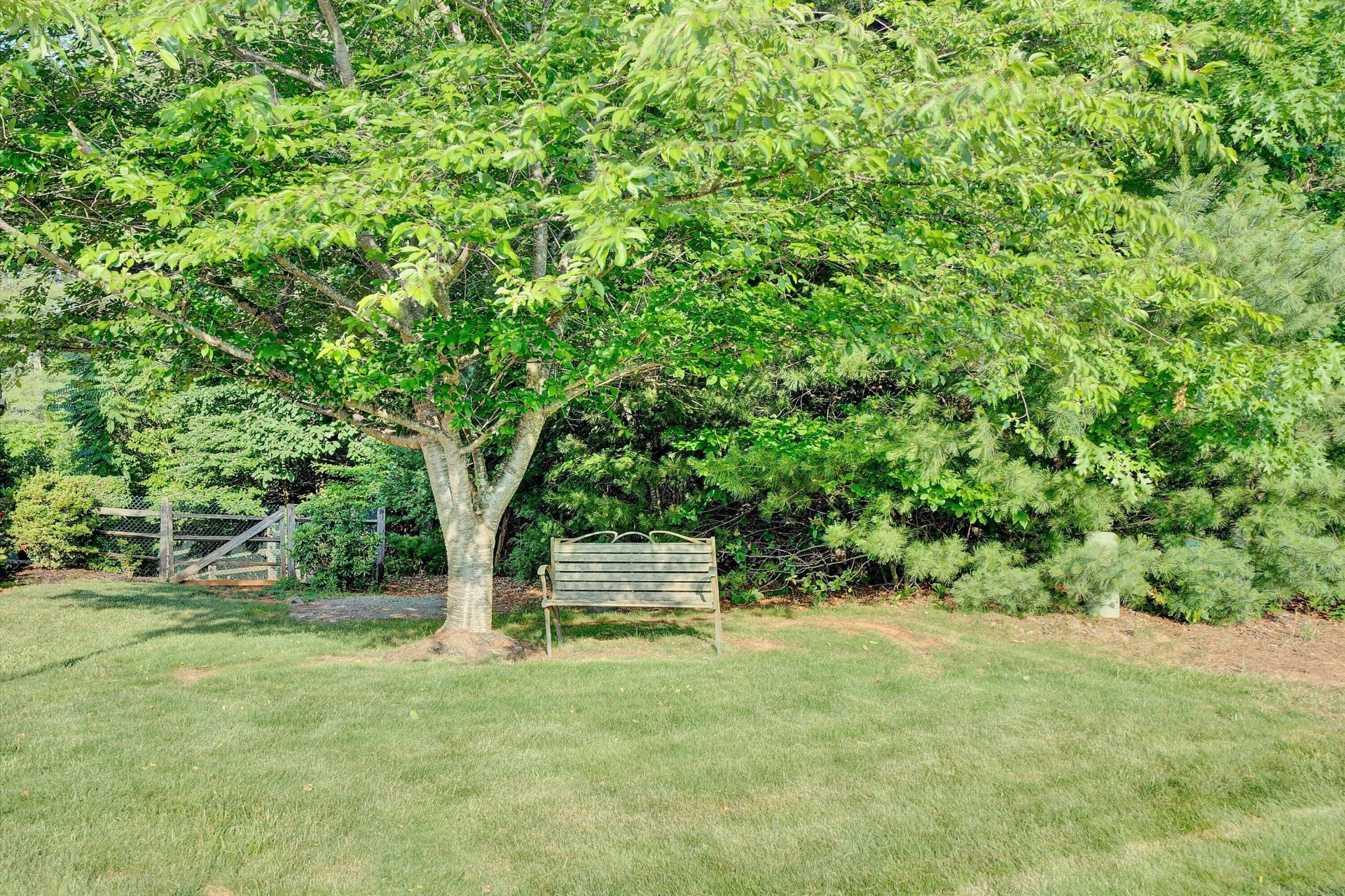 137 SHANLEYS LOOP - Photo 38