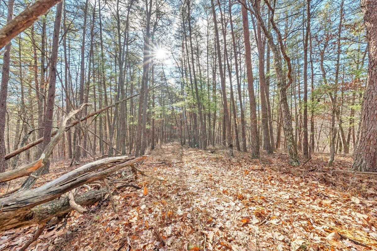 0 Overlook WAY - Photo 10
