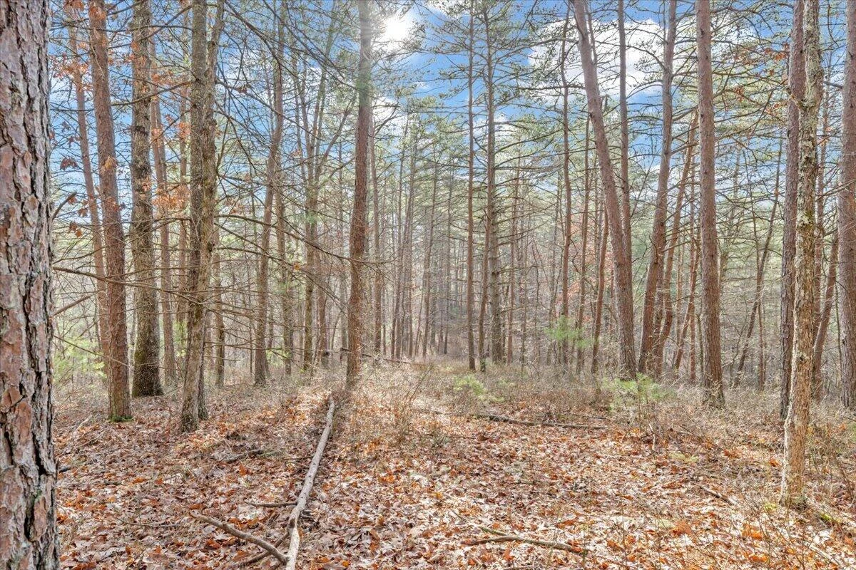 0 Overlook WAY - Photo 12