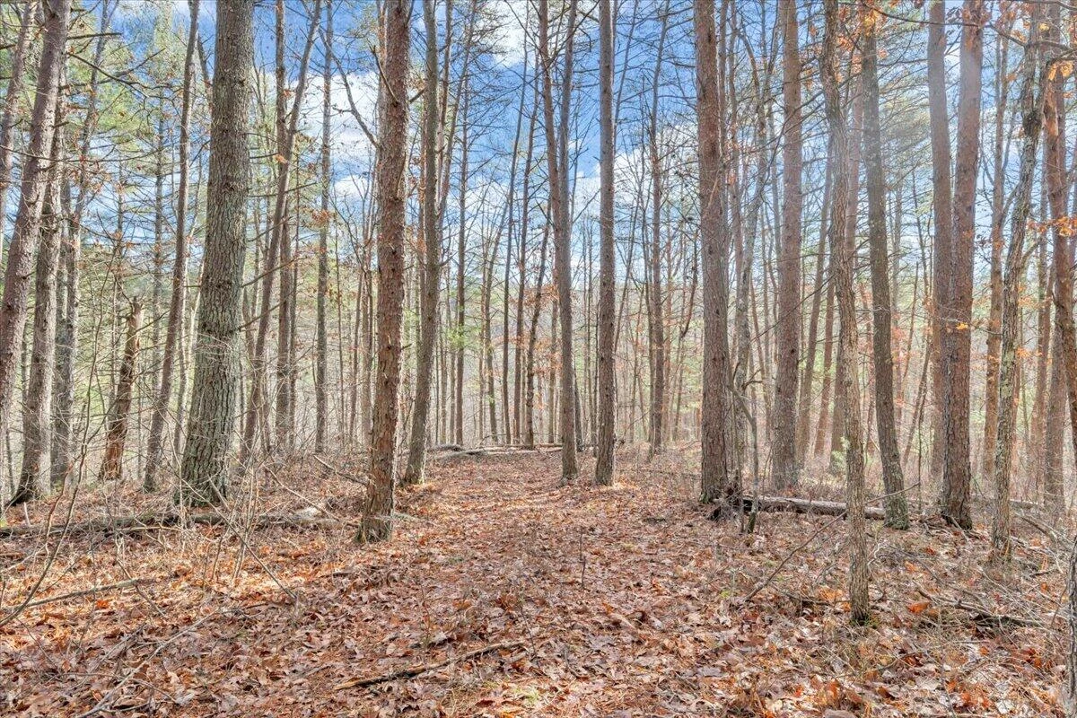 0 Overlook WAY - Photo 13