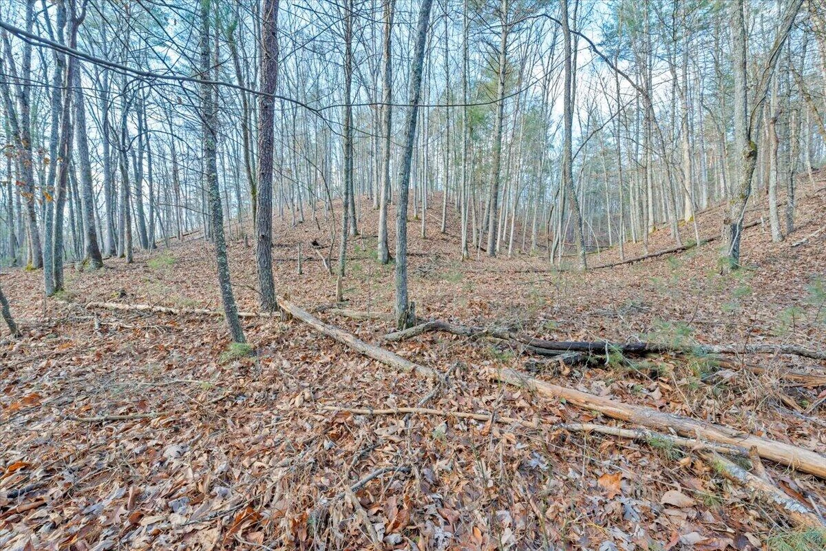 0 Overlook WAY - Photo 23