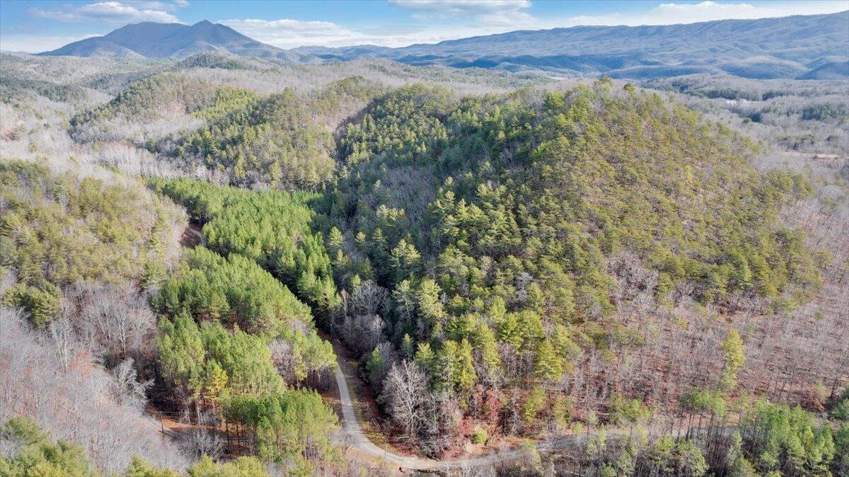 0 Overlook WAY - Photo 3