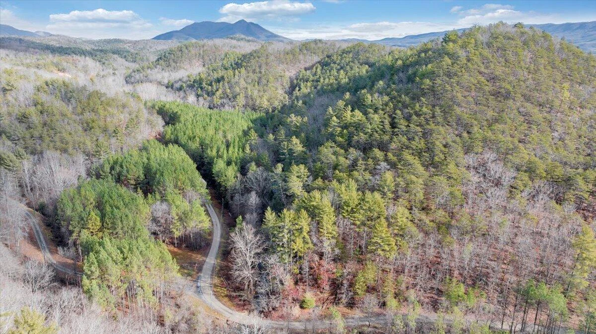 0 Overlook WAY - Photo 4