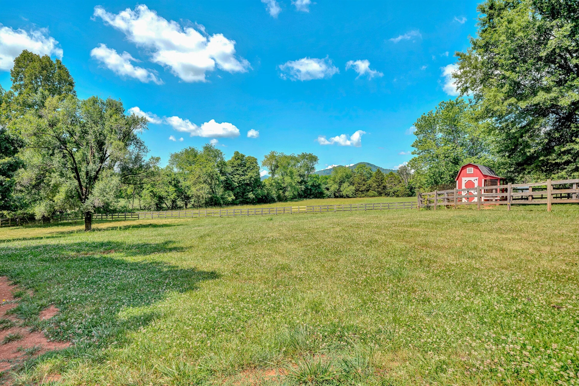 335 DAYTONA DR - Photo 53