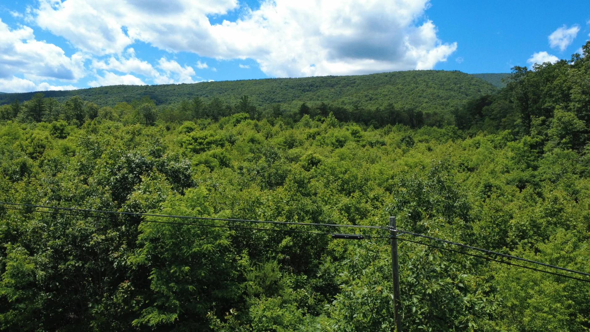 0 Craig Creek RD - Photo 16