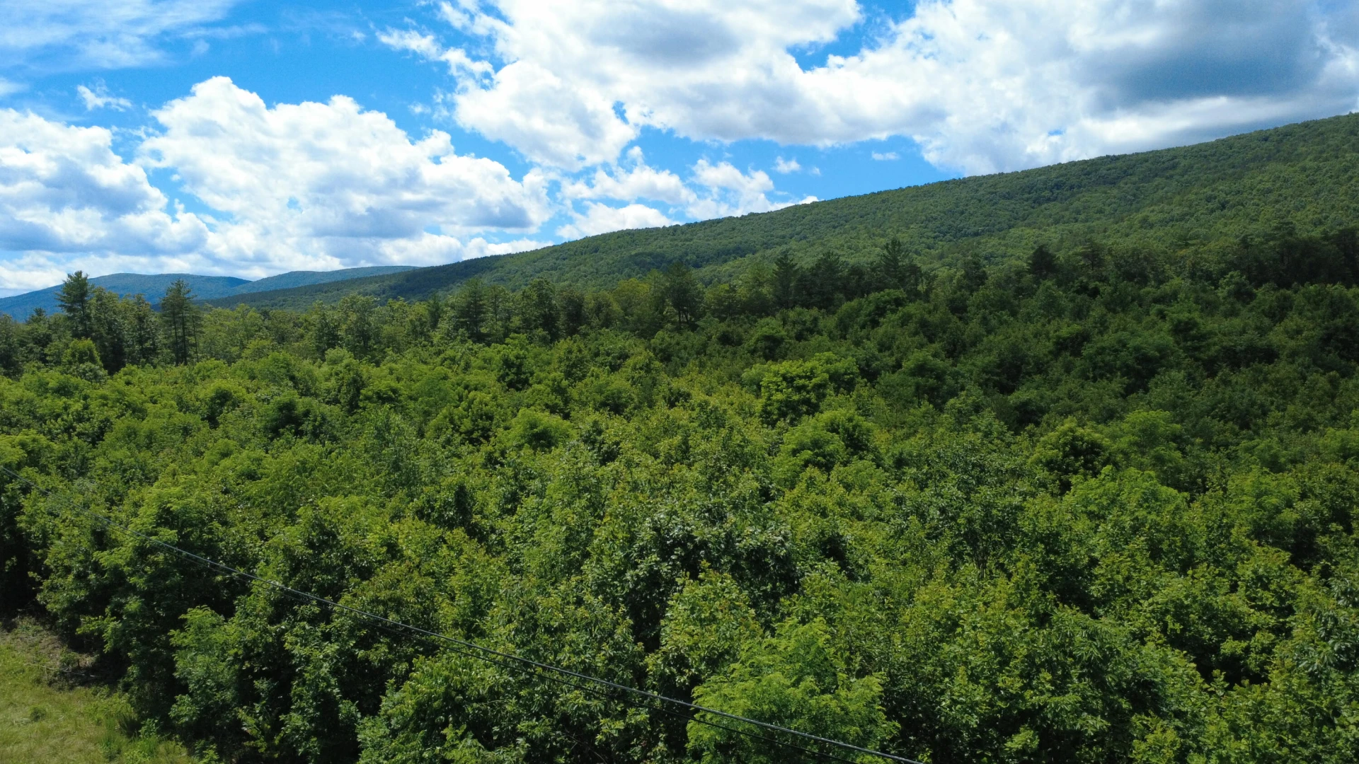 0 Craig Creek RD - Photo 17