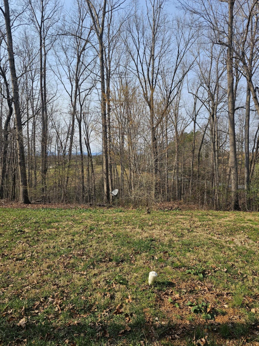 21 Berkeley LN - Photo 13