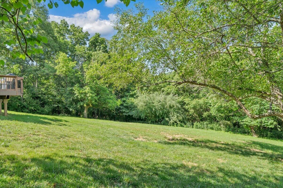 180 Daleview DR - Photo 33